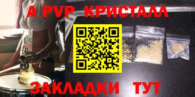 стаф Кунгур