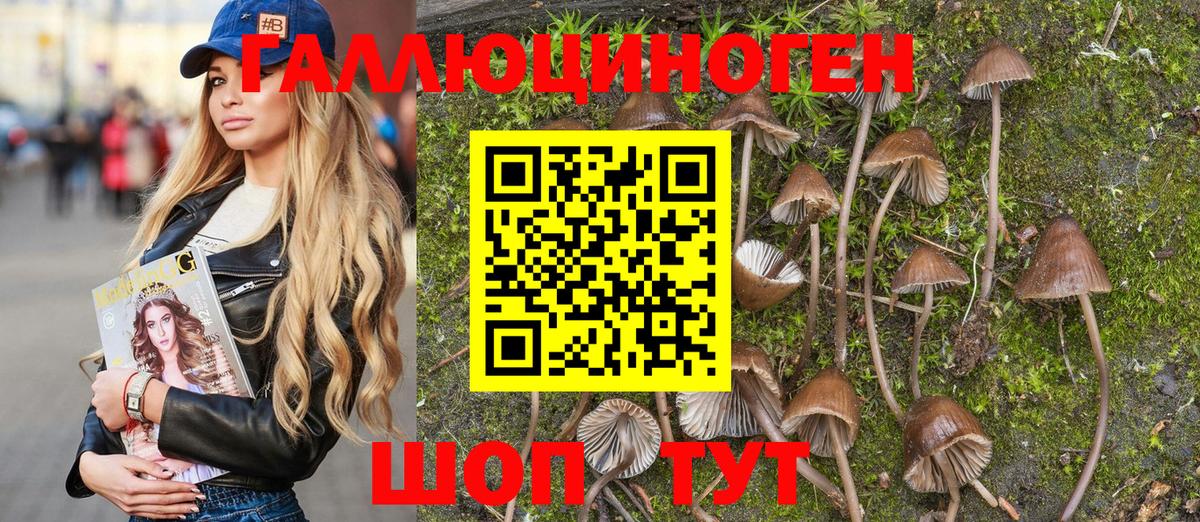 Галлюциногенные грибы мухоморы  Вход с VPN  Псилоцибиновые грибы Magic Shrooms  Шебекино 