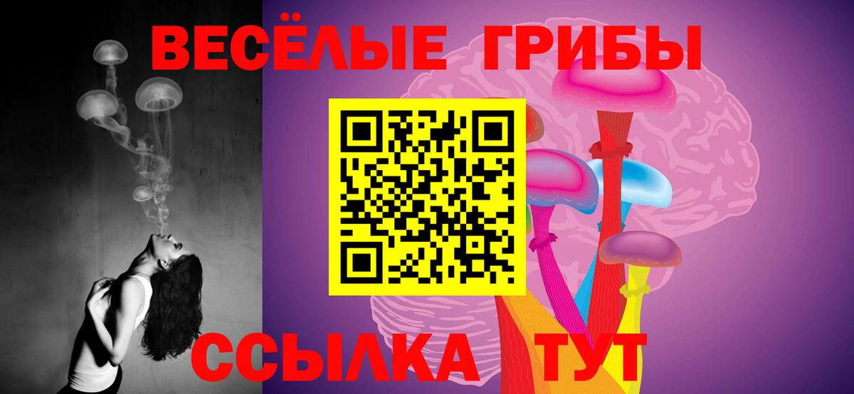 Галлюциногенные грибы GOLDEN TEACHER Шебекино