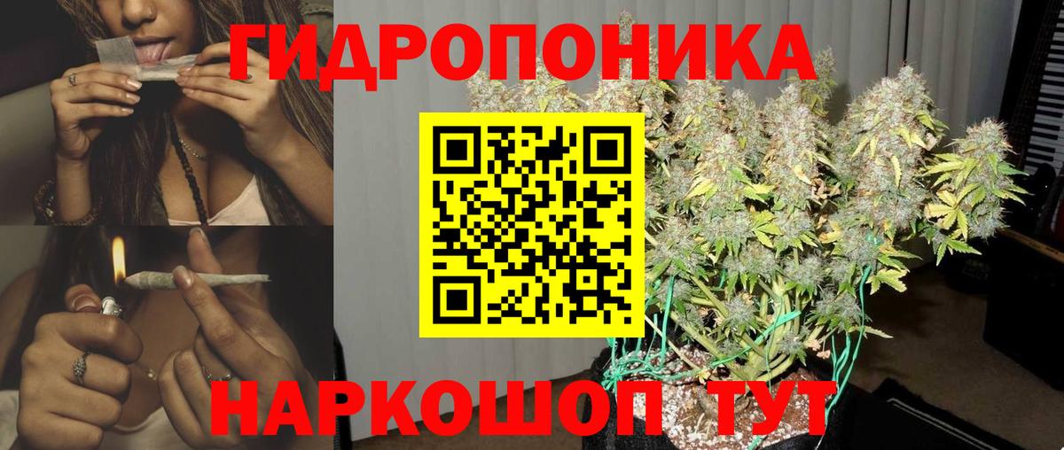 Бошки марихуана VHQ  Каннабис White Widow  Шебекино  Вход с VPN  Шишки марихуана OG Kush 